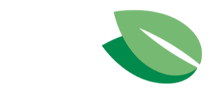 same day service now available